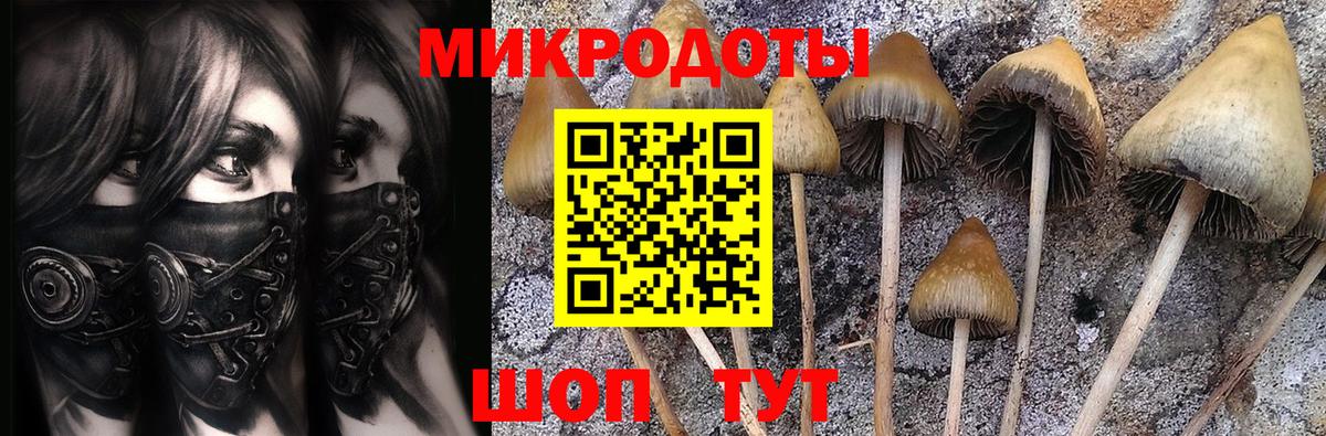 Галлюциногенные грибы прущие грибы Гурьевск