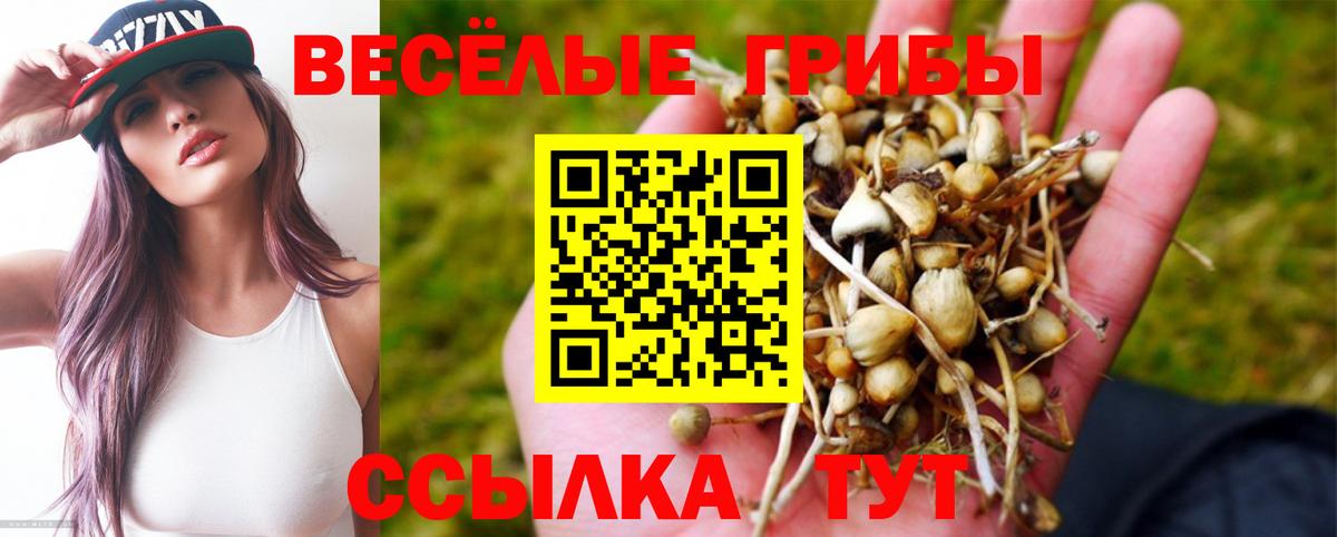 Галлюциногенные грибы прущие грибы  Вход с VPN  купить наркотик  Гурьевск 